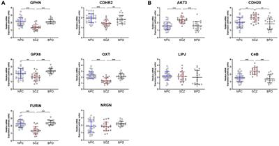 Differential H3K9me2 heterochromatin levels and concordant mRNA expression in postmortem brain tissue of individuals with schizophrenia, bipolar, and controls